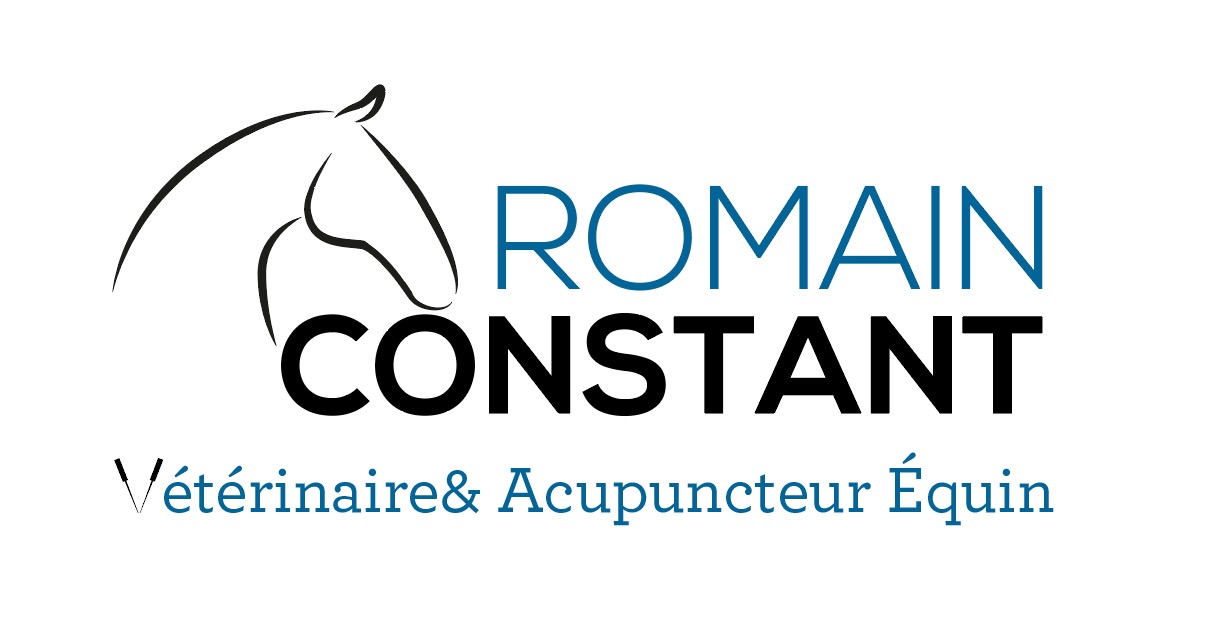 logo du Docteur Romain Constant, Vétérinaire et acupuncteur équin