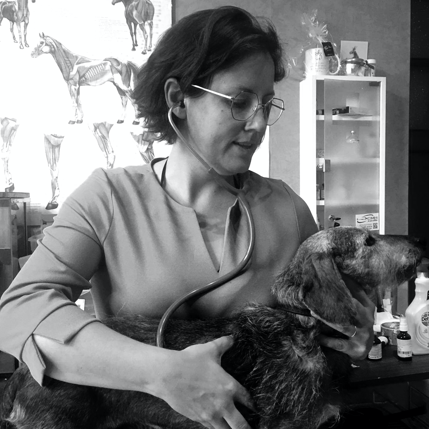 Docteur Adrienne Dernier, vétérinaire